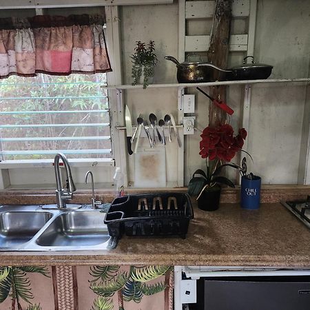 Cabin 2-Rustic Private Stay Near Volcano National Park Fern Forest Ngoại thất bức ảnh