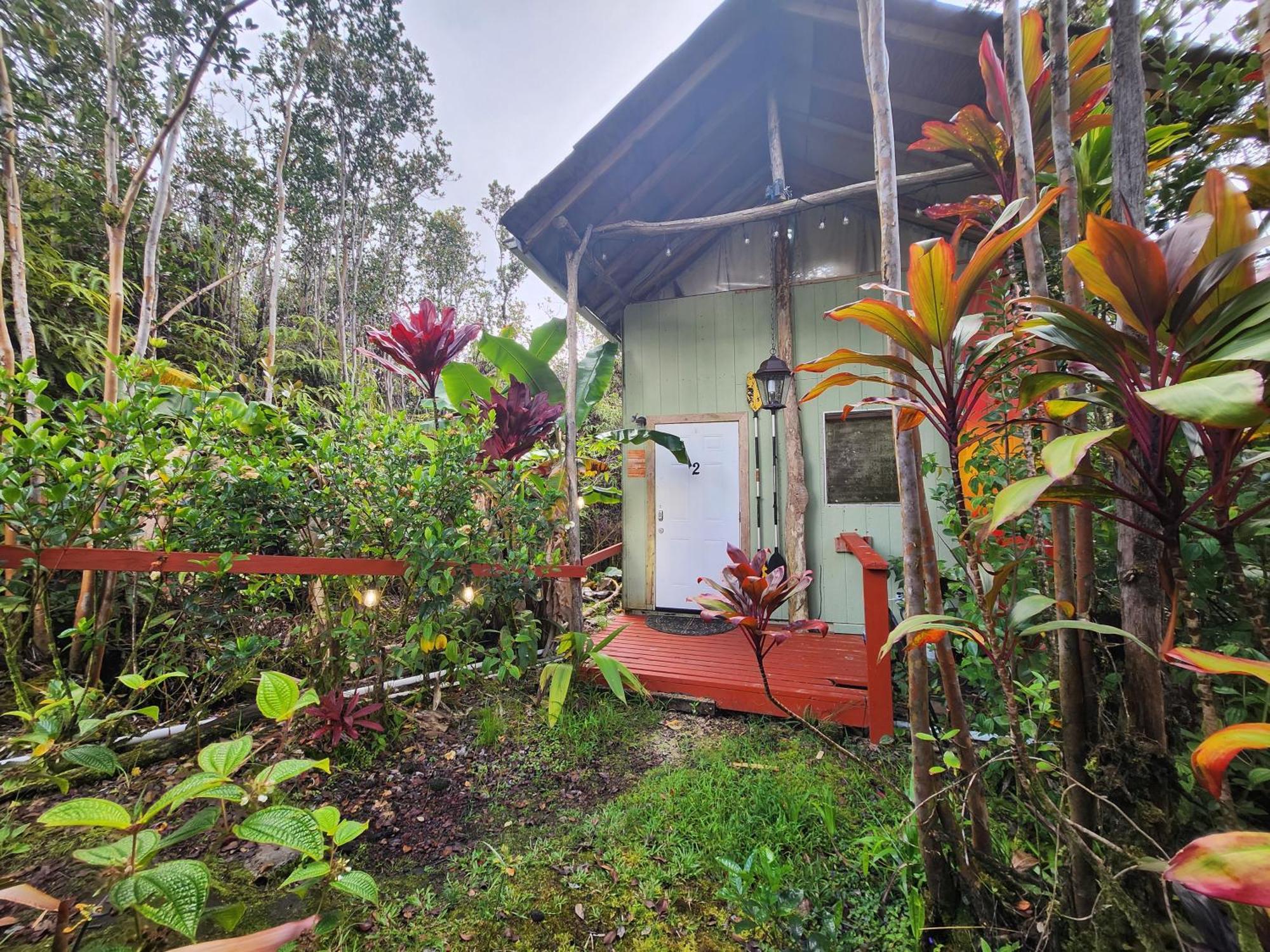 Cabin 2-Rustic Private Stay Near Volcano National Park Fern Forest Ngoại thất bức ảnh